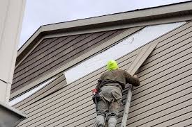 Best Siding for Multi-Family Homes  in Pinckneyvle, IL